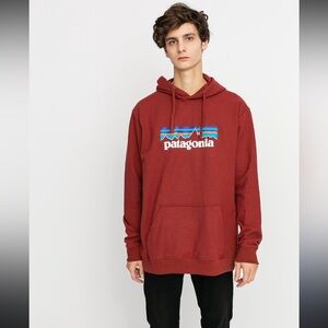 Patagonia Men's Brick Red Hoodie